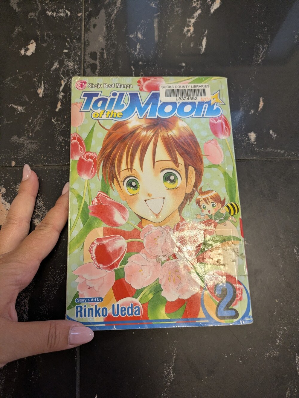 Tail Of The Moon Manga Volume 2